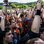 309 Basinfirefest