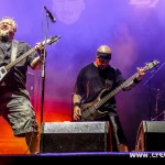419 Exumer
