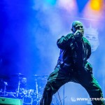 421 Exumer