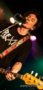 032 Plexis