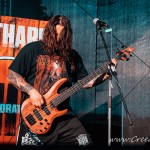 0098 Tortharry