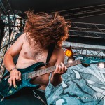 0294 Invidiosus