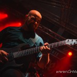 0371 Nervecell