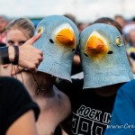 0068 NovaRock 2023
