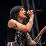 0017 NovaRock 2024