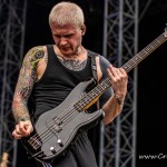 0022 NovaRock 2024
