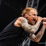 0047 NovaRock 2024
