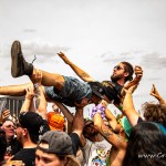0173 NovaRock 2024