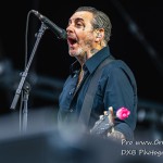 DSC 1167