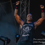 DSC 3033