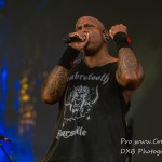 DSC 3071