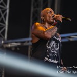 DSC 3114