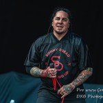 DSC 4297