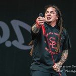 DSC 4395