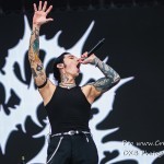 DSC 9495