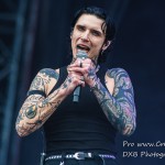 DSC 9512