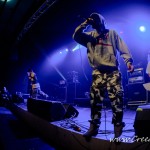 042 Desolated